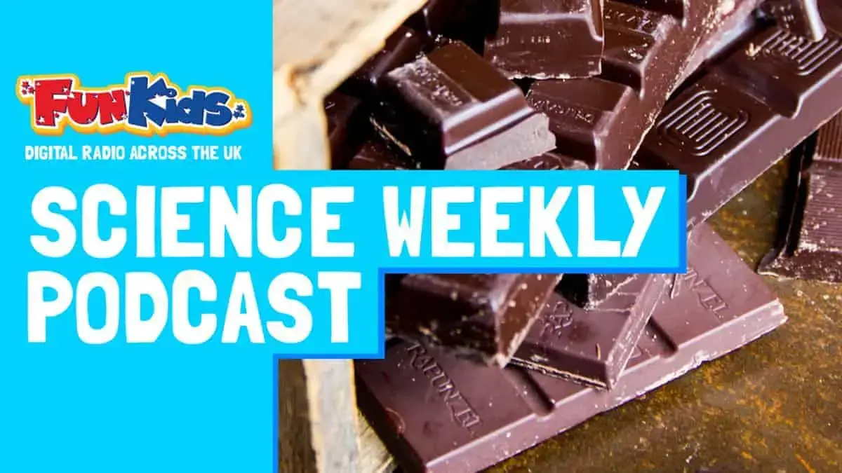Why is chocolate so delicious? Find out with Professor Wilson Poon in the Fun Kids Science Weekly podcast!