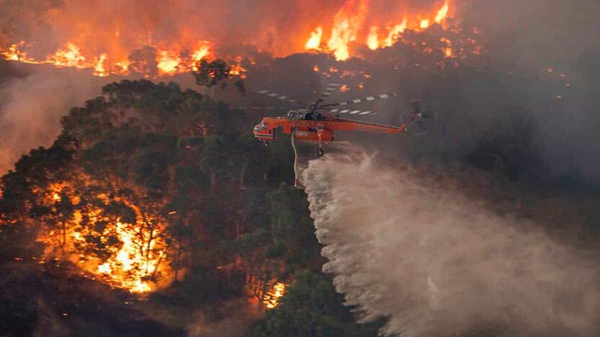 Red Sky Flying Embers Australia S Fires Are The First Climate Disaster Of The Decade Grist