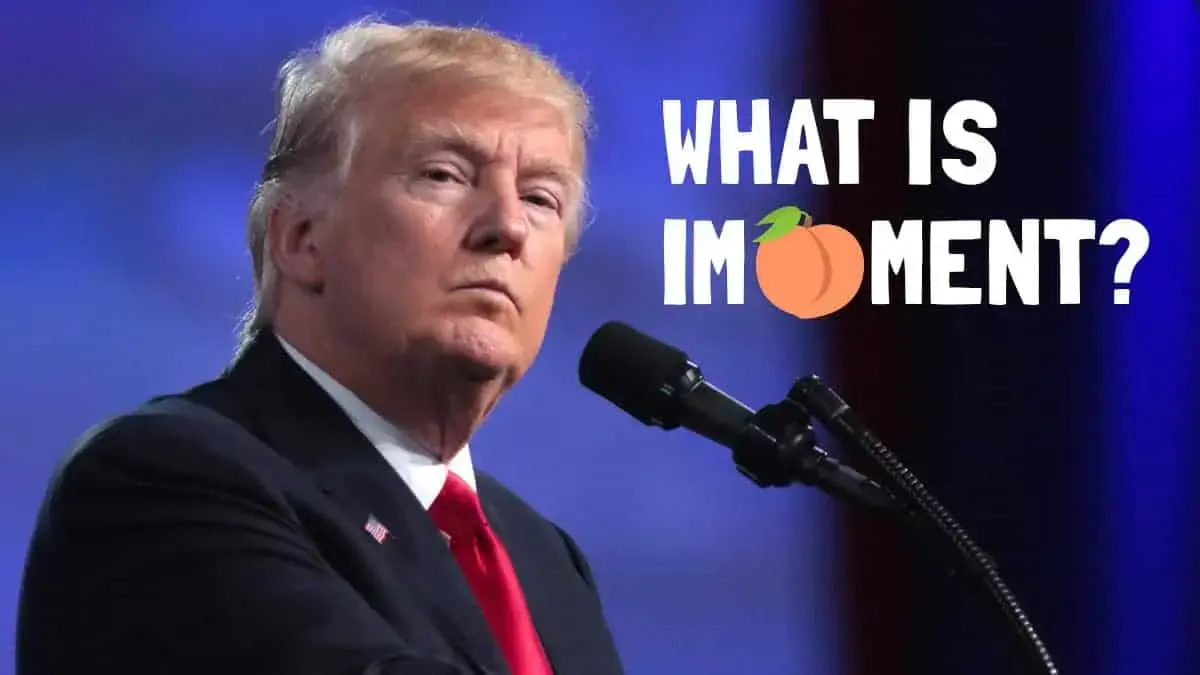What is impeachment and why is Donald Trump on trial?