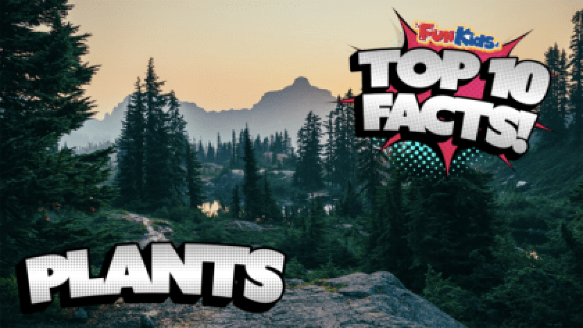 Top 10 Facts About Plants! - Fun Kids - the UK's children's radio station
