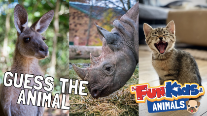 Can you guess all the animals? - Fun Kids - the UK's children's radio  station