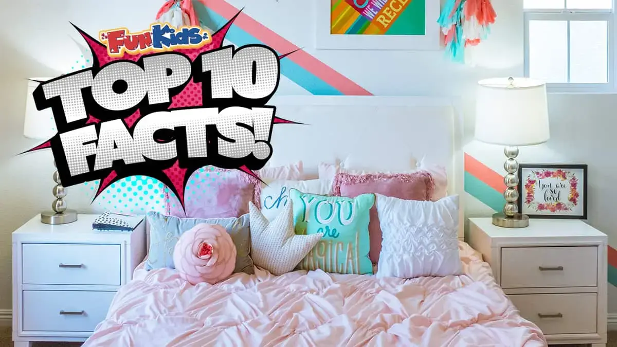 Top 10 Facts About a Tidy Bedroom!