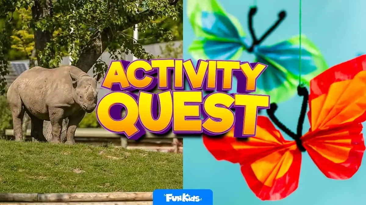 Chester Zoo, Girlguiding’s Spring Social, and tissue butterflies