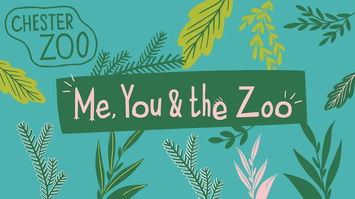 Check out the Chester Zoo competition entries!