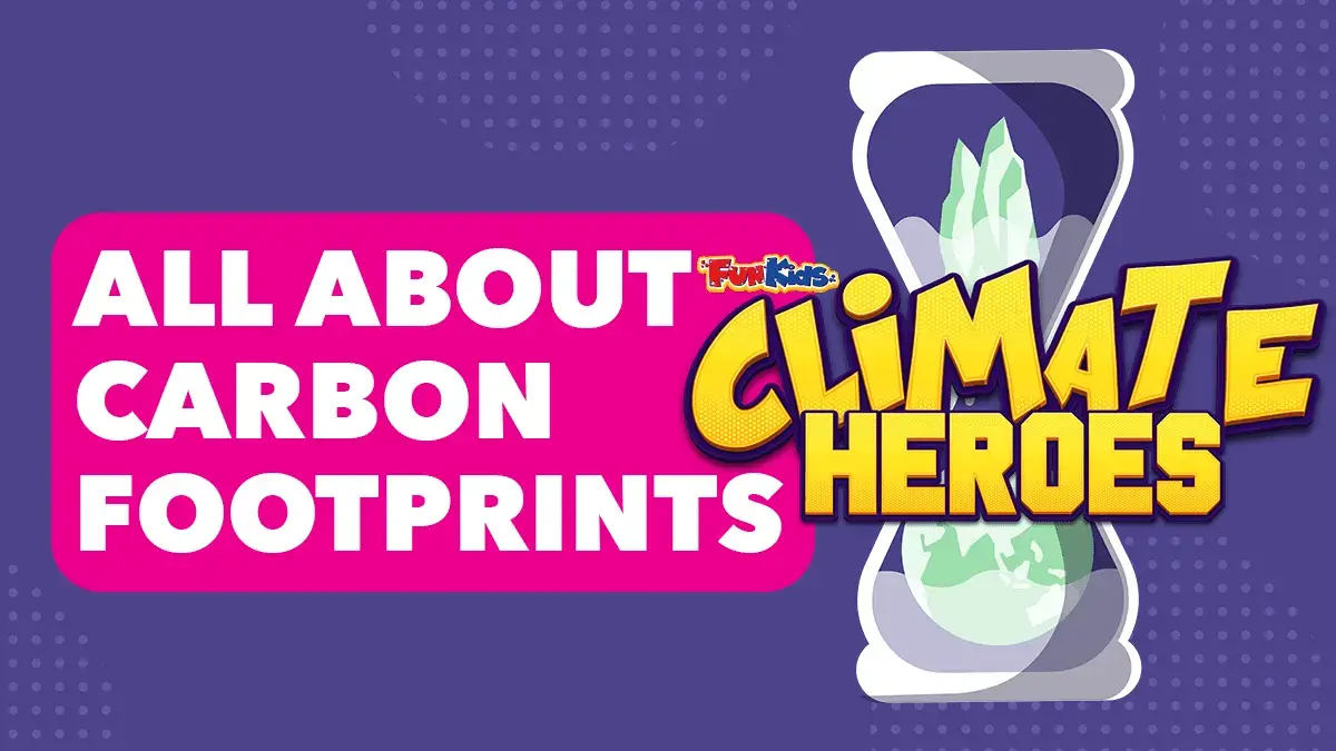 What is a carbon footprint and what can we do to reduce it?