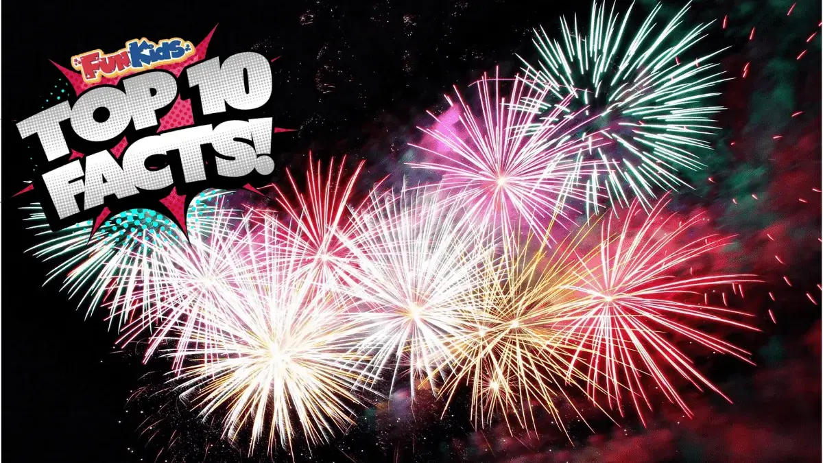 Top 10 Facts About Bonfire Night and Guy Fawkes!