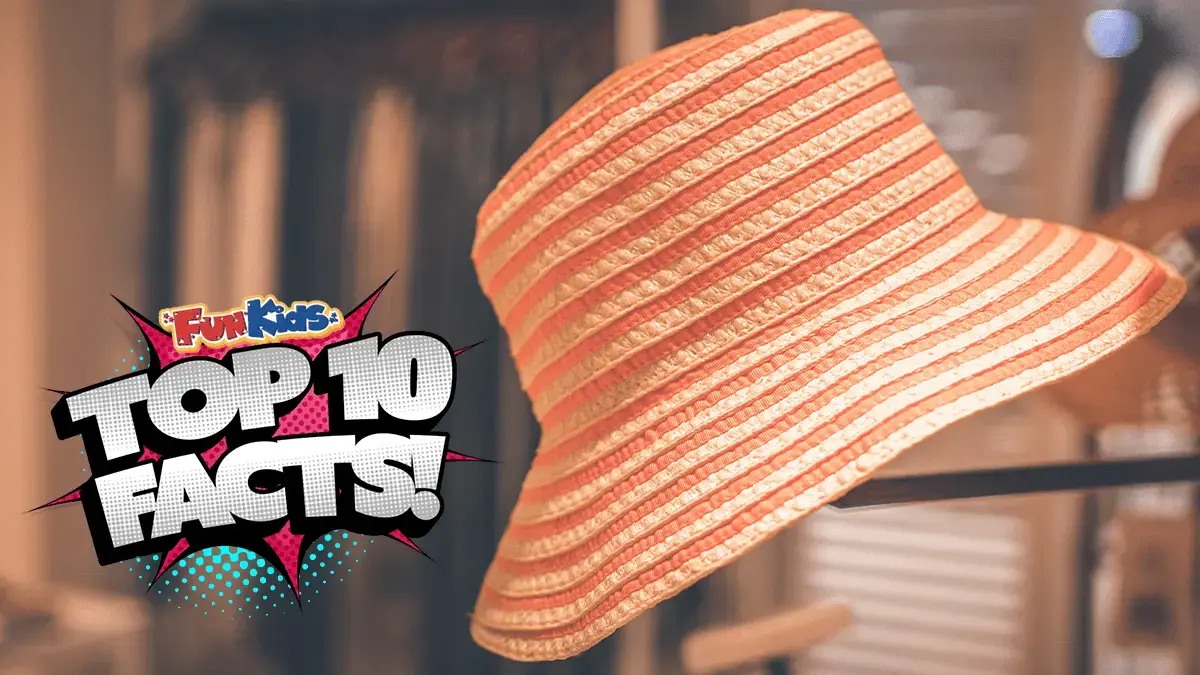 Top 10 Facts About Hats!