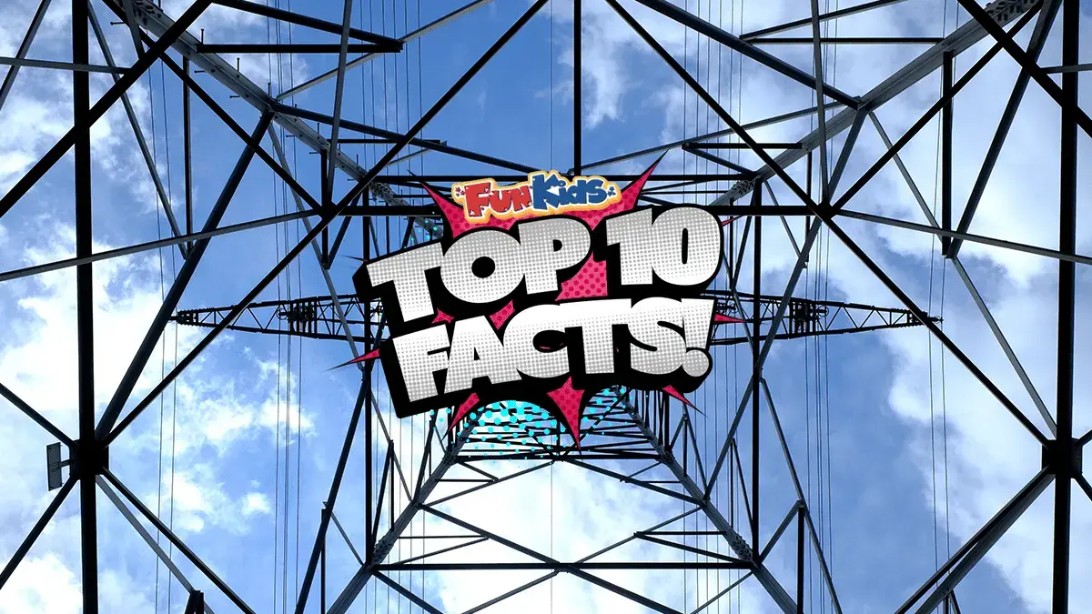 Top 10 Facts About Electricity Pylons!