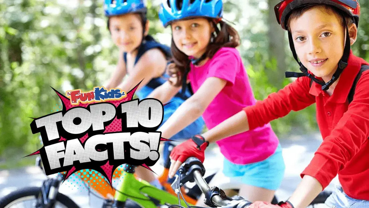 Top 10 Facts About Bike Safety!