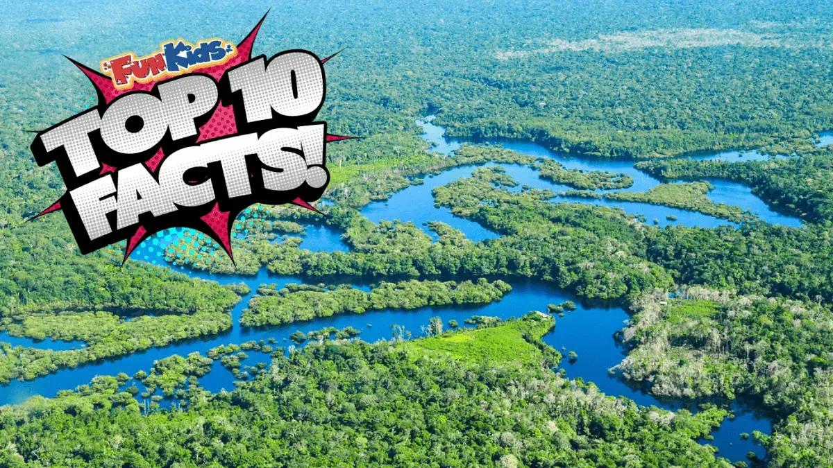 Top 10 Facts About South America!