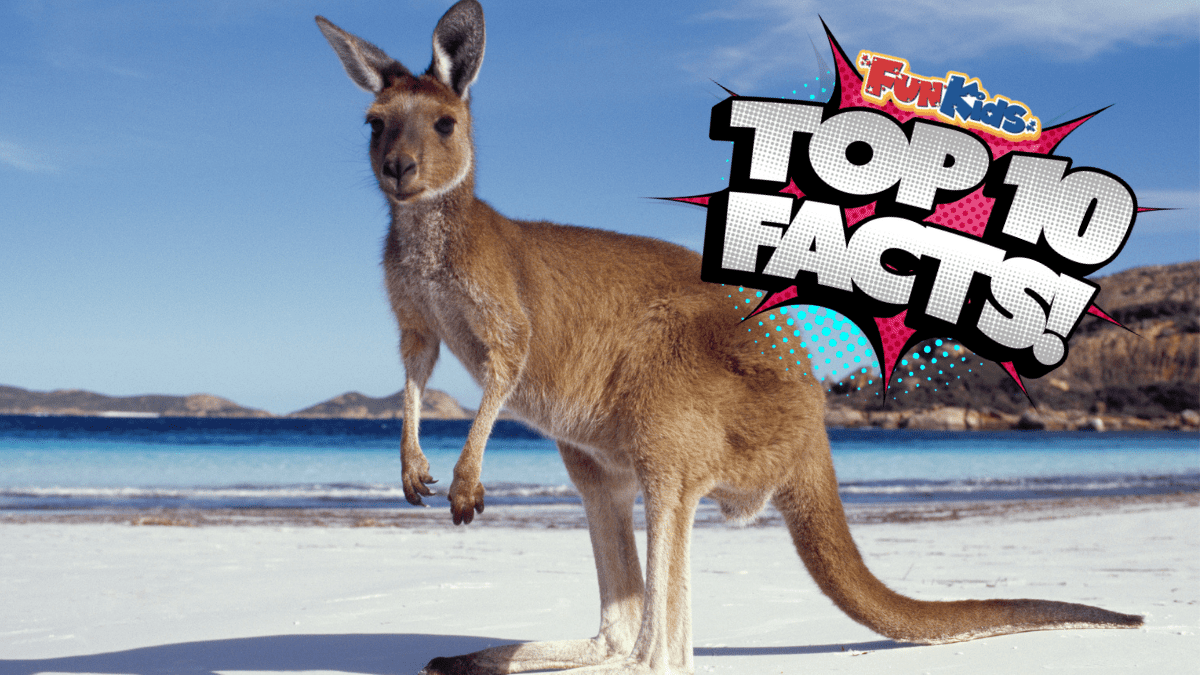 Top 10 Facts about Australia - Fun Kids - the UK's children's radio station