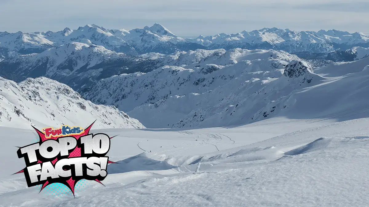Top 10 Facts About The Ice Age!