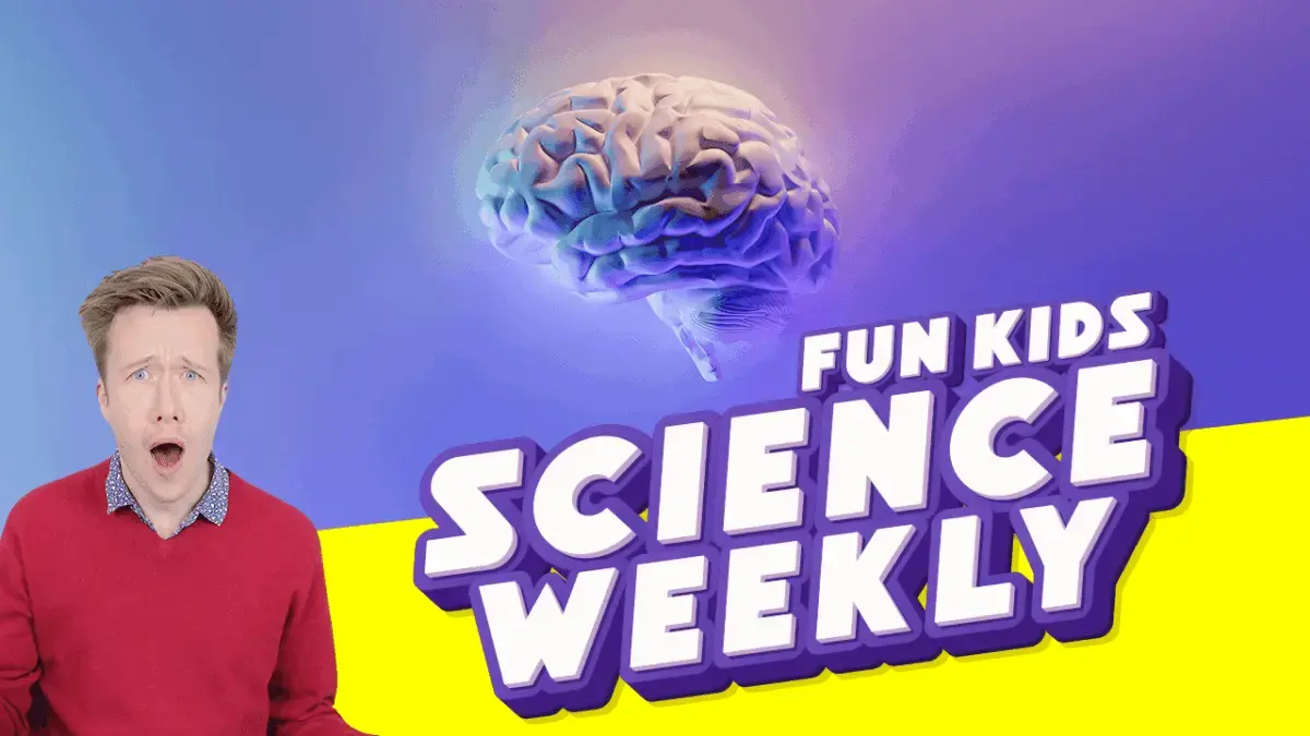 How to Train Your Brain with Dr Ranj!