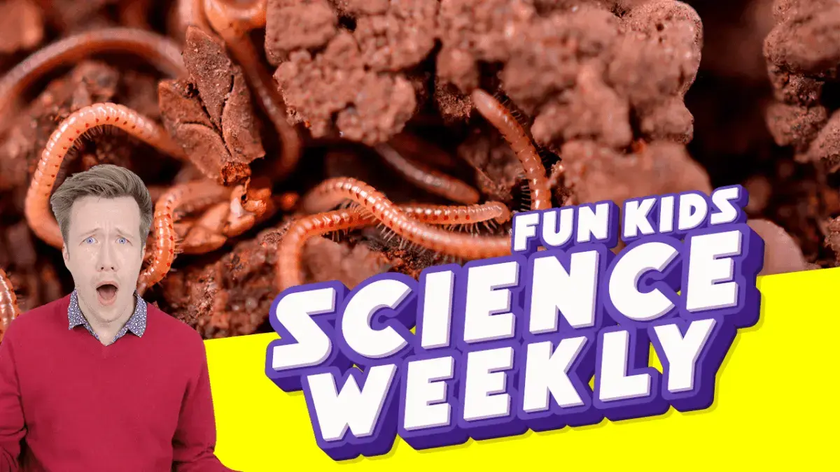 Zombie Creepy Crawlies and What Life Will Be Like In 2052!