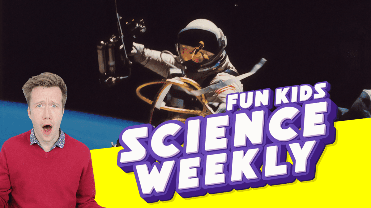 How Long Can A Human Survive Without a Spacesuit? Fun Kids the UK's
