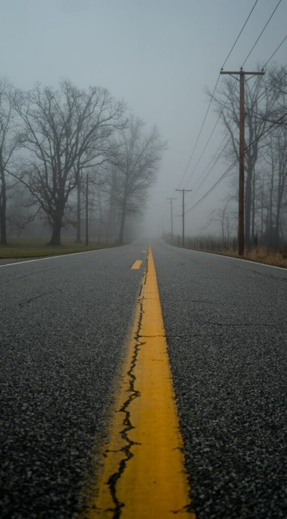 asphalt road between trees during daytime