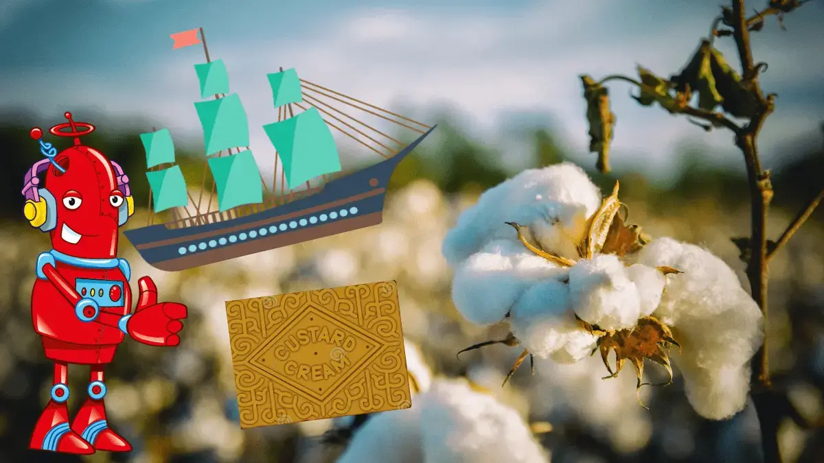 Sean’s Ships: Where do our clothes come from and what is Fair Trade?