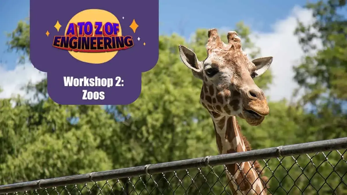 Download the free Fun Kids A to Z of Engineering workshop all about Zoos!