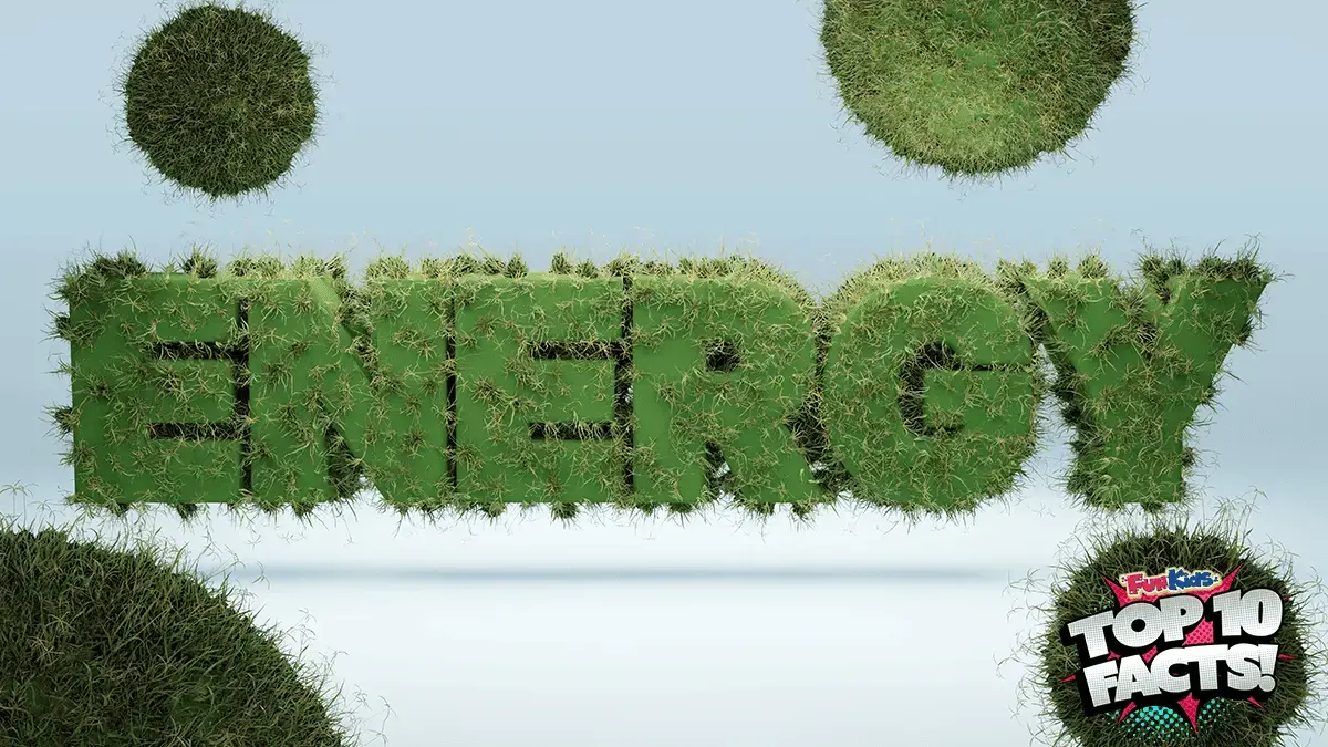 Top 10 Facts About Biomass Energy!