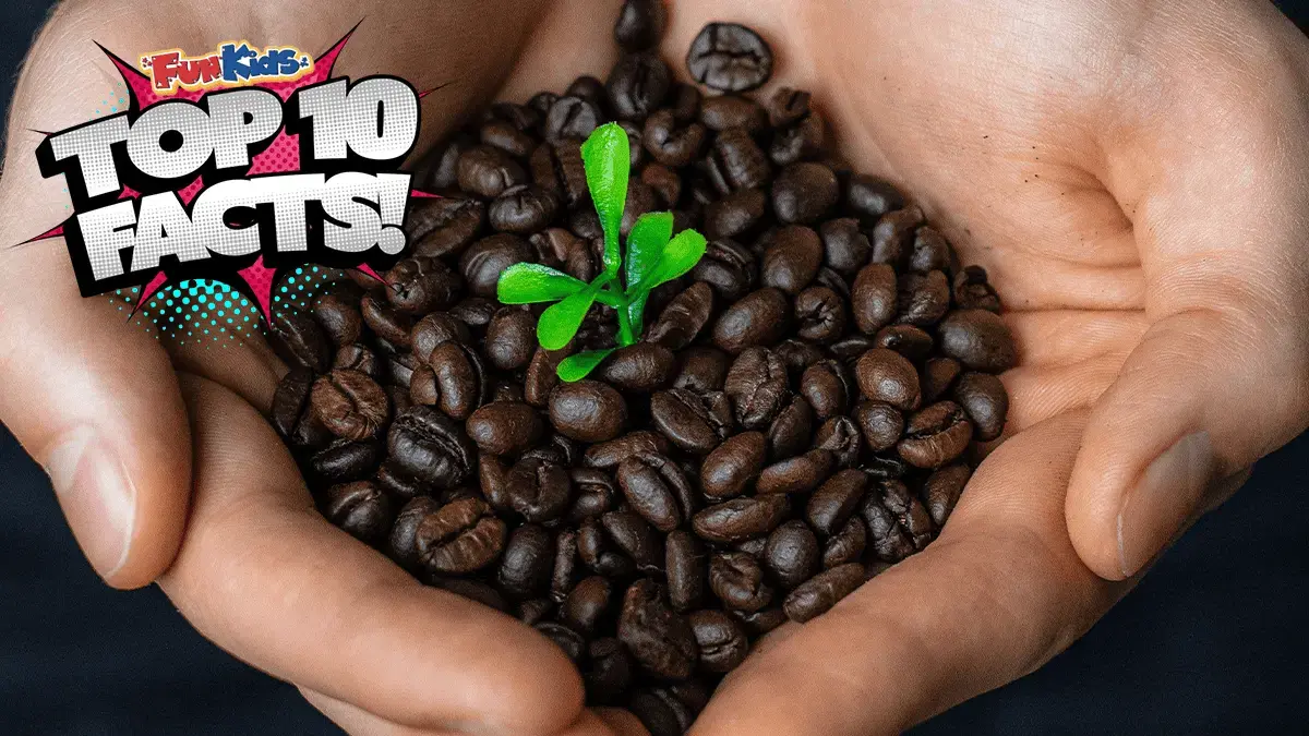 Top 10 Facts About Fairtrade!