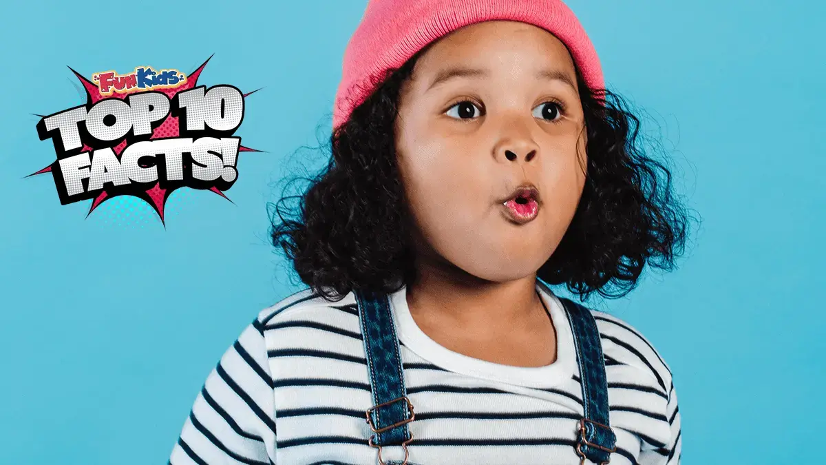 Top 10 Weirdest Facts!