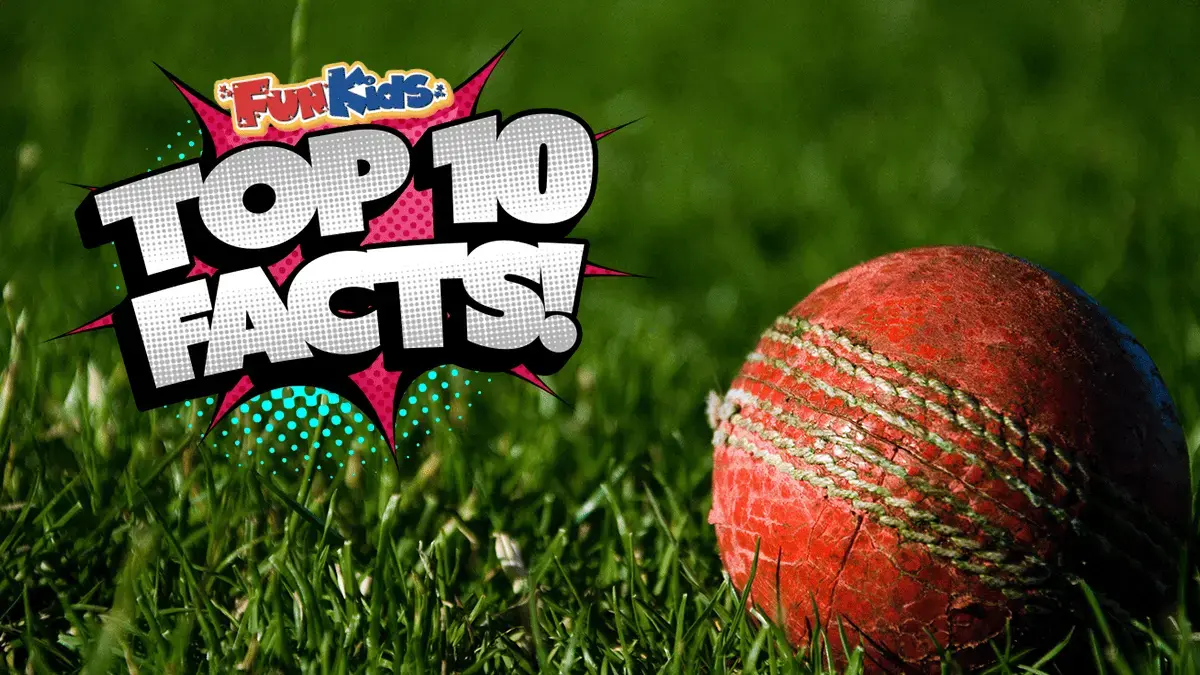 Top 10 Facts About The Ashes!