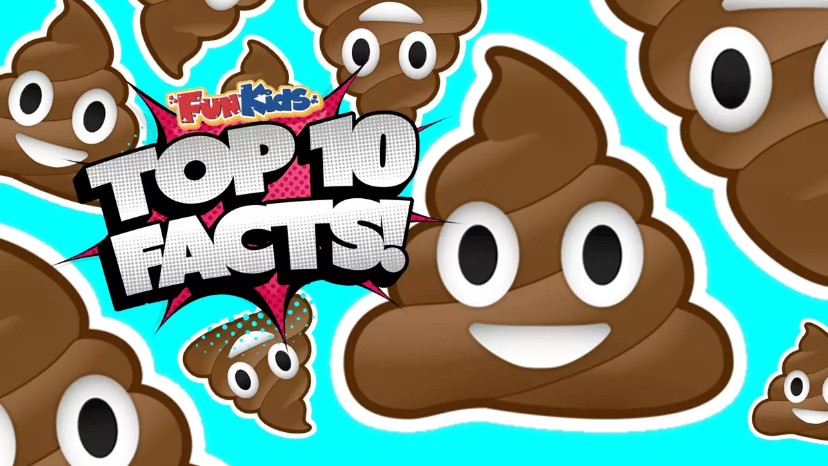 Top 10 Facts About Human Poo!