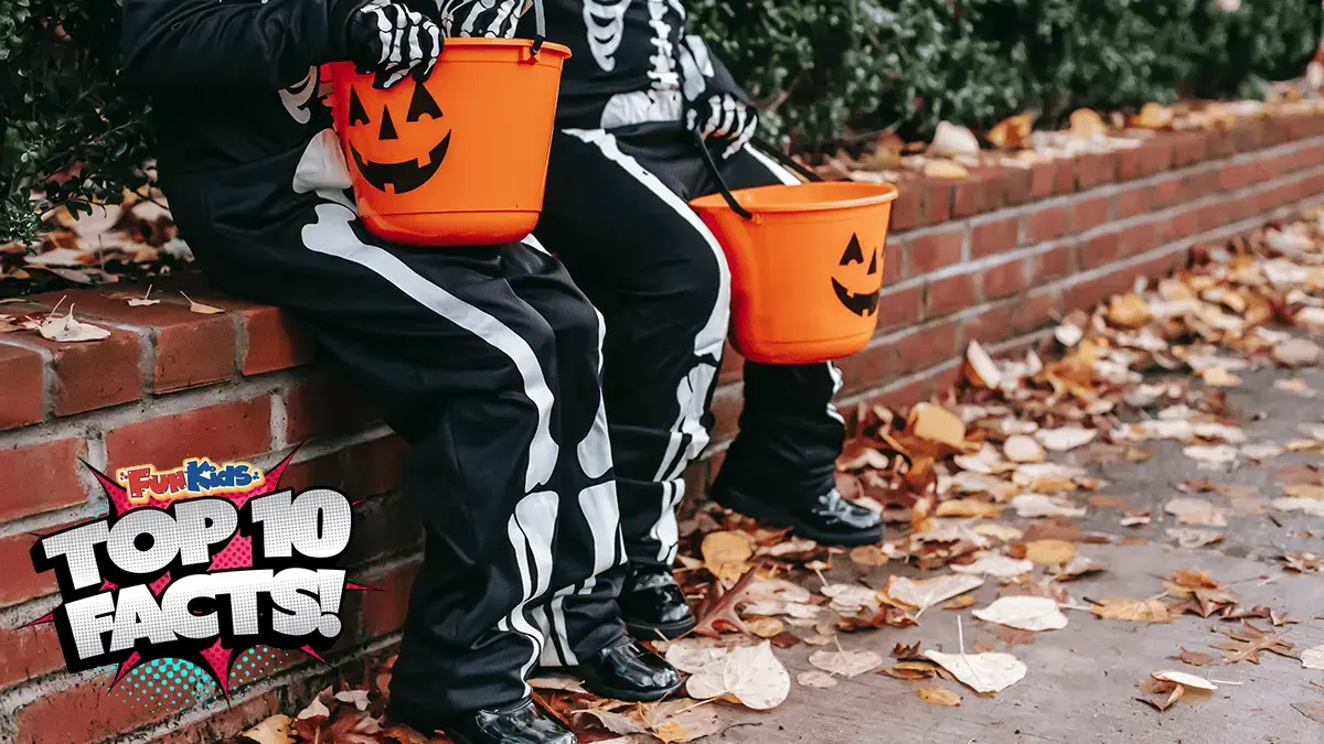 Top 10 Facts About Halloween Safety!