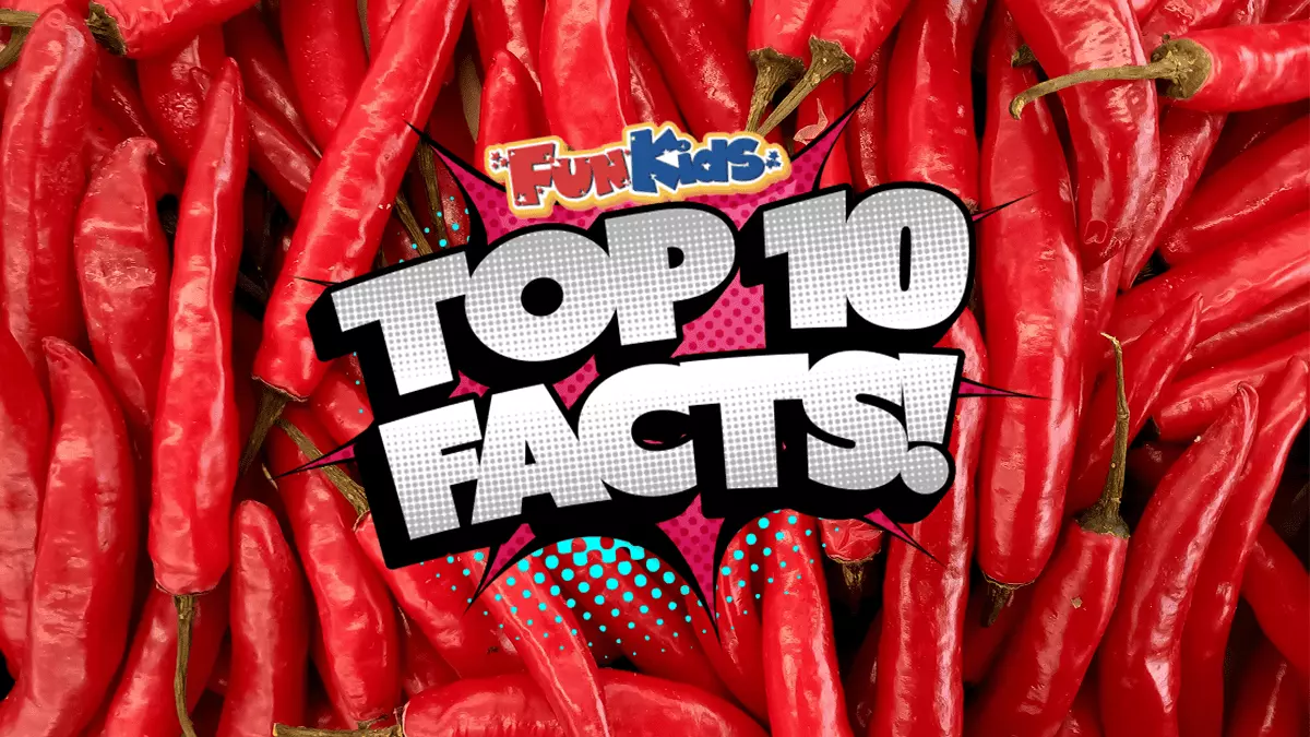 Top 10 Facts About Chillies!