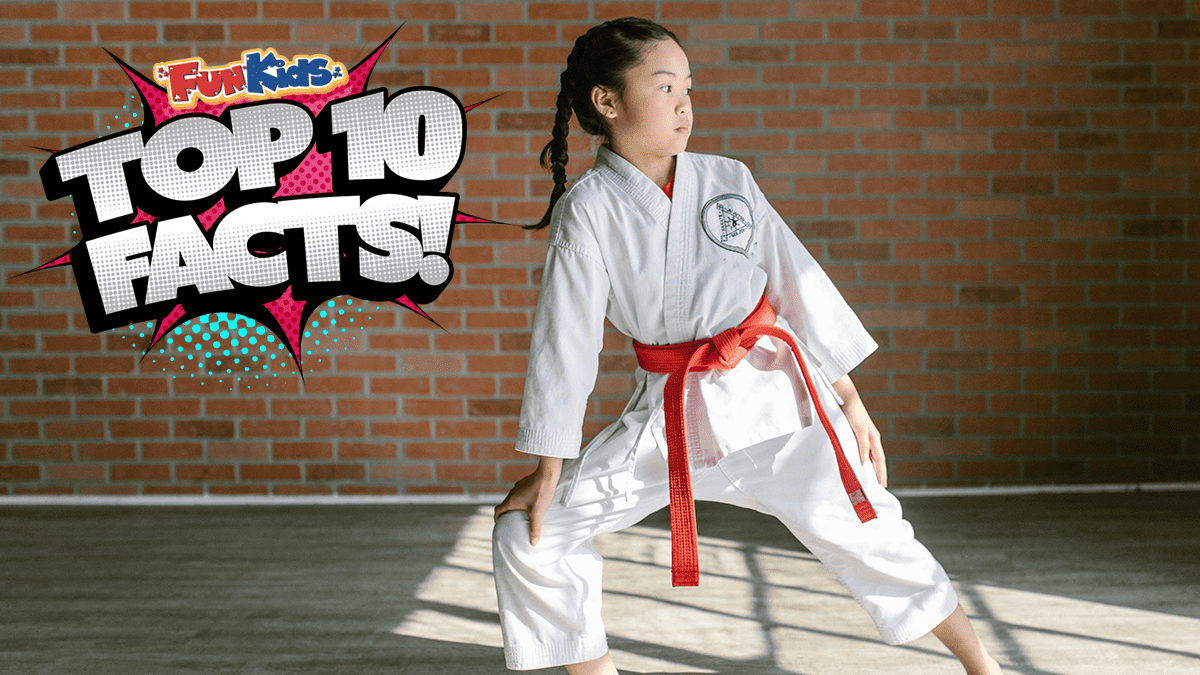 Top 10 Facts about Karate! Fun Kids the UK's children's radio station