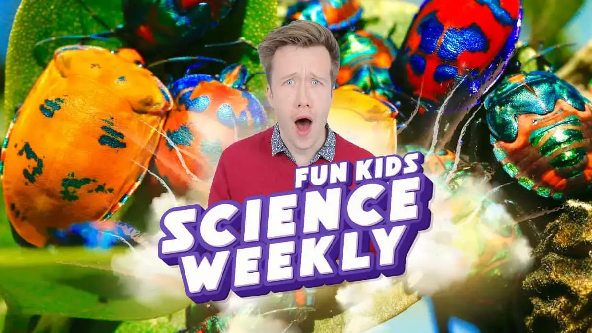 BUGS AND BEYOND: The Magnificent World of Insects in this week’s Science Weekly