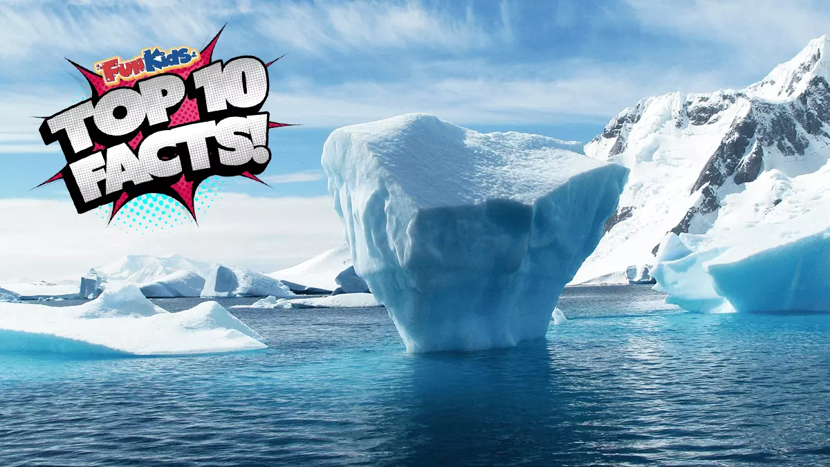 Top 10 Facts About Antarctica!
