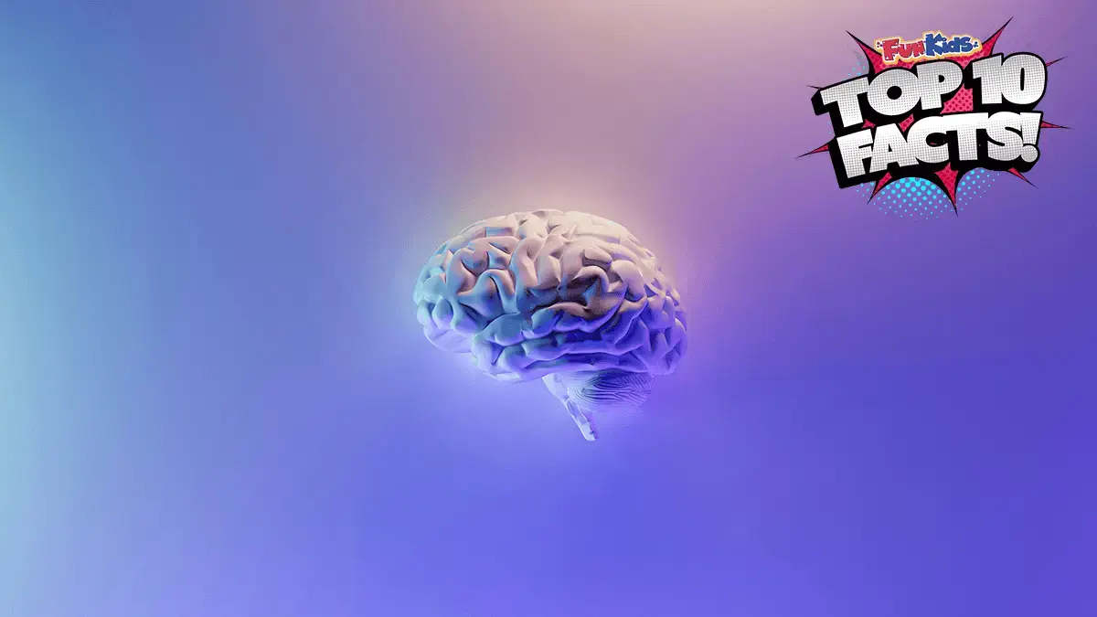 Top 10 Facts About Your Mental Health!