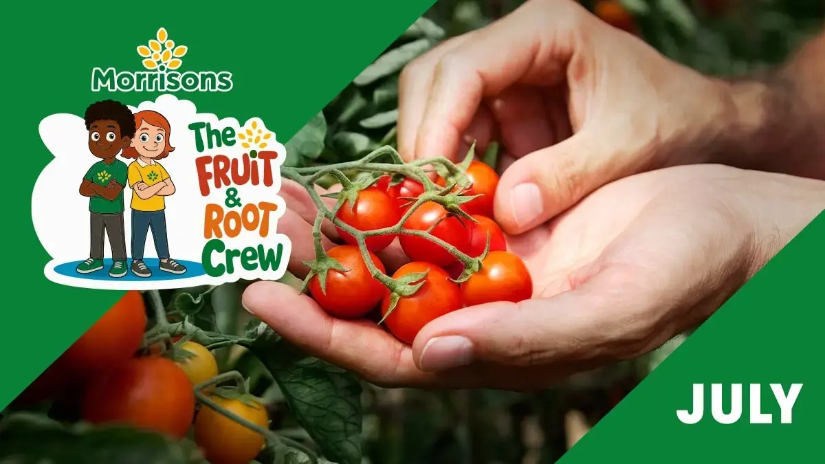 Everything you need to know about… tomatoes!