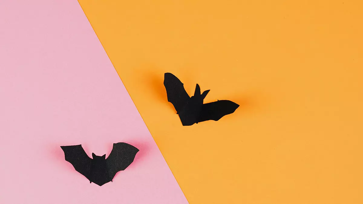 Top 10 Facts About Bats!