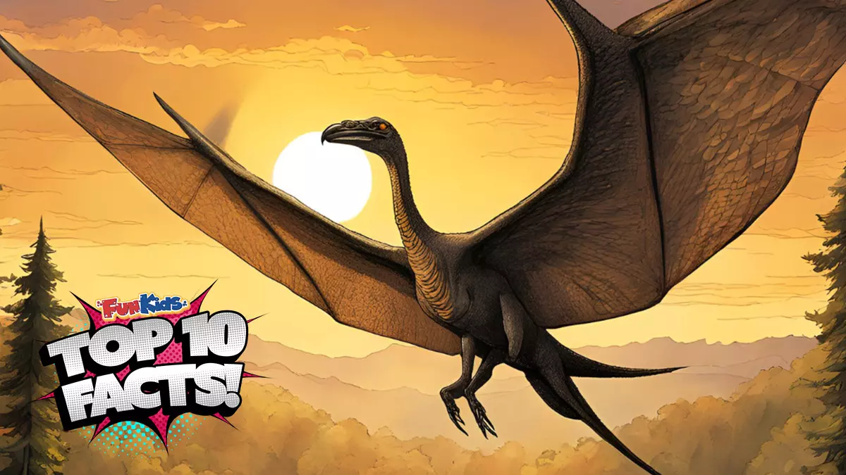 Top 10 Facts About Pterodactyls!