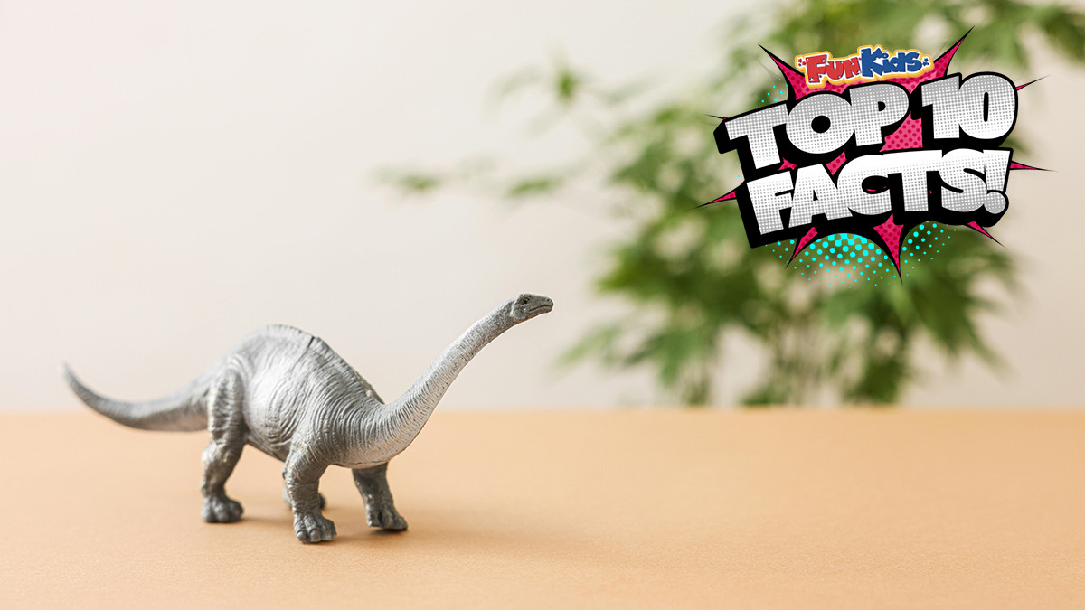 Top 10 Facts About Brachiosaurus! Fun Kids the UK's children's