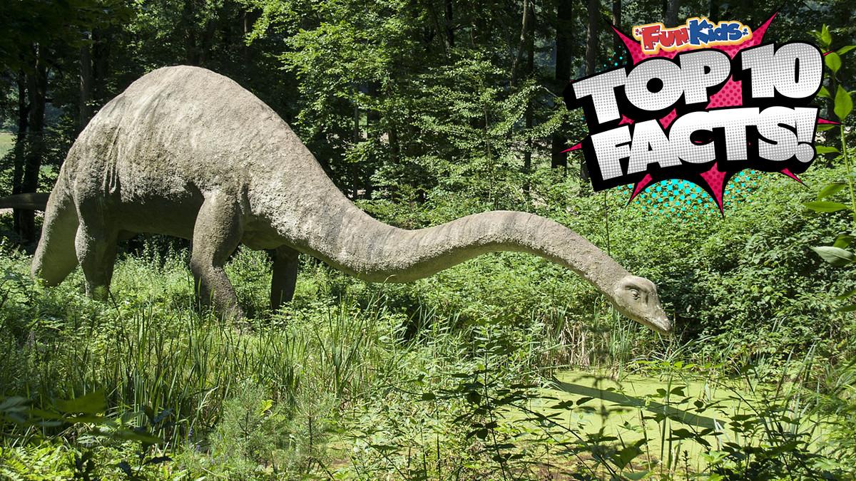 Top 10 Facts About Diplodocus! - Fun Kids - the UK's Top 10 Facts About Diplodocus! - Fun Kids - the UK's