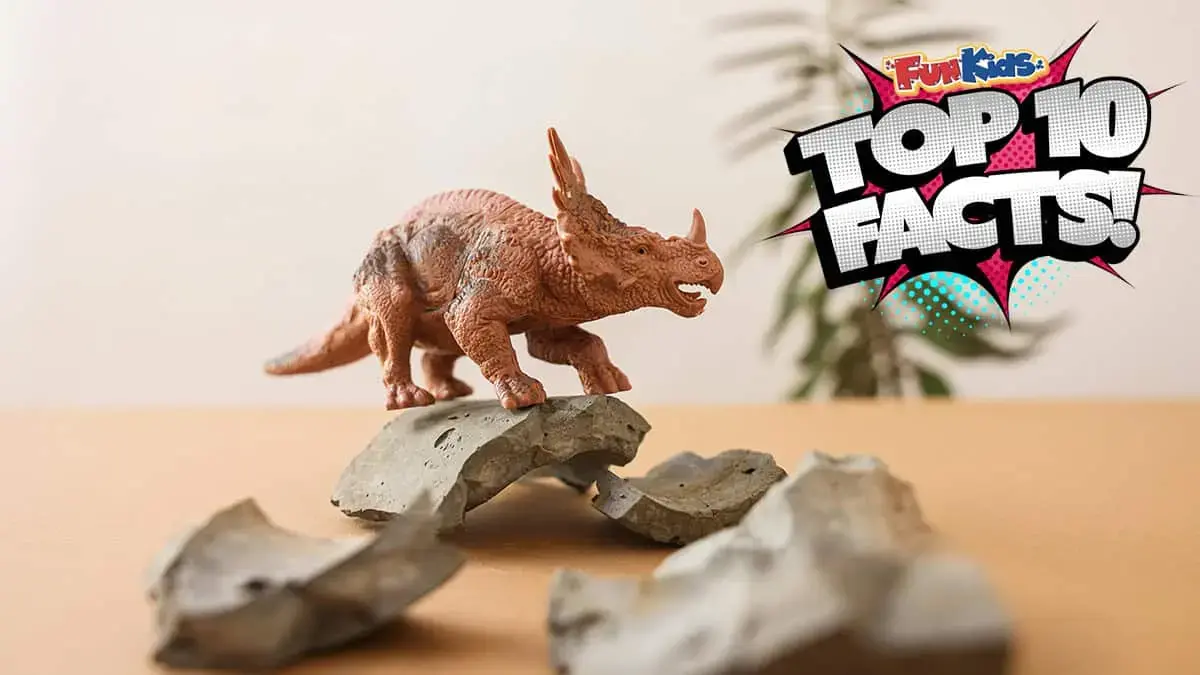 Top 10 Facts About Triceratops!