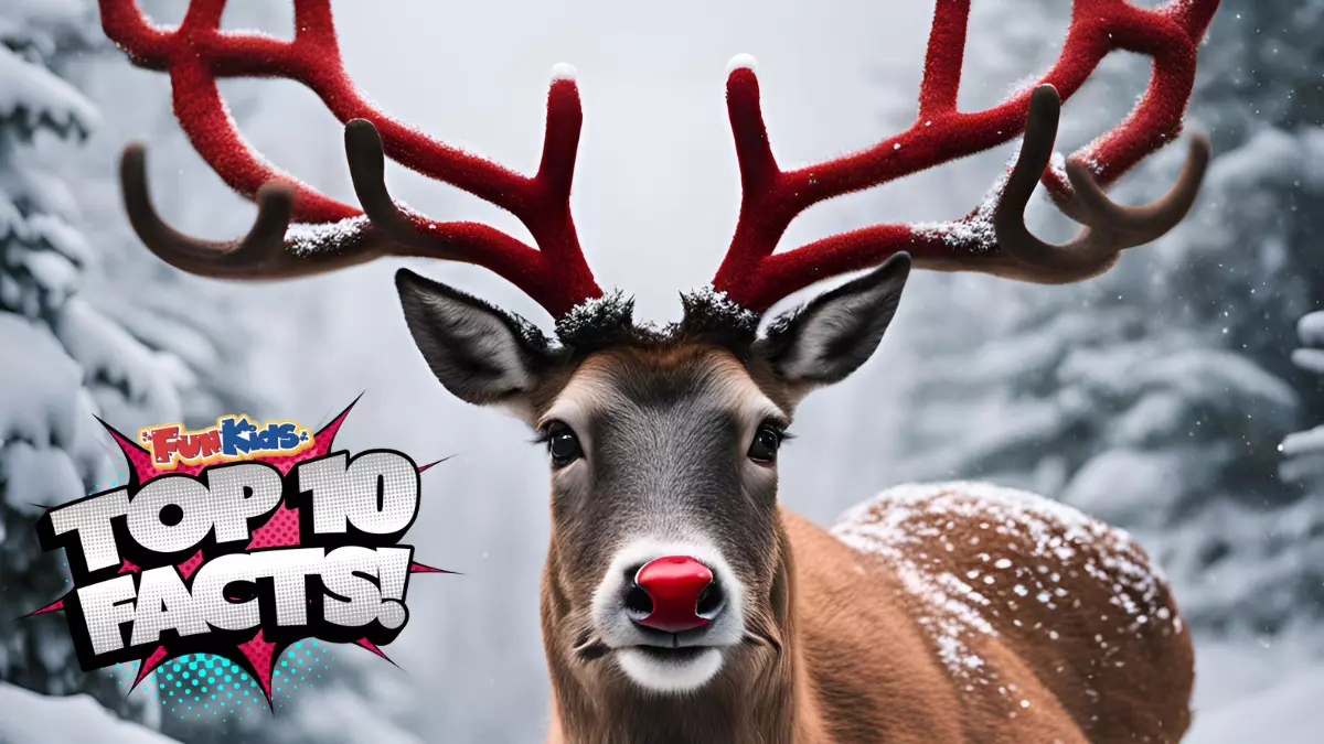 Top 10 Facts About Rudolph the Red-Nosed Reindeer!