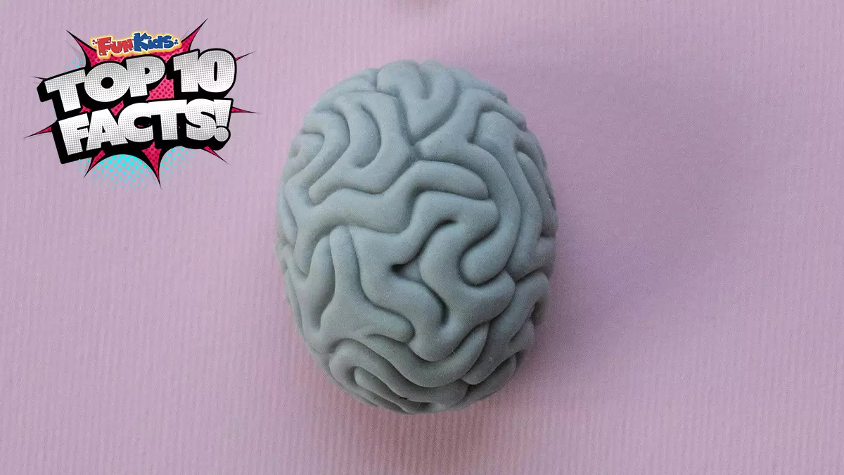 Top 10 Facts About Your Mind!