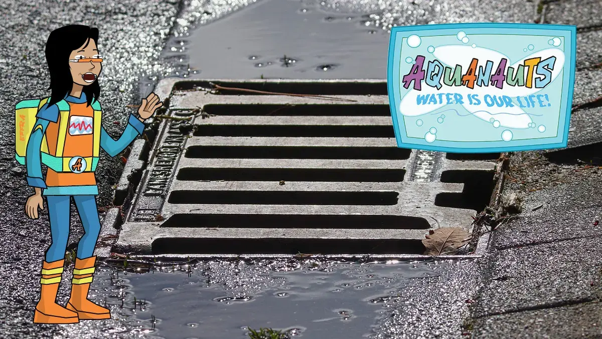 Water – Urbanisation and Modern Life