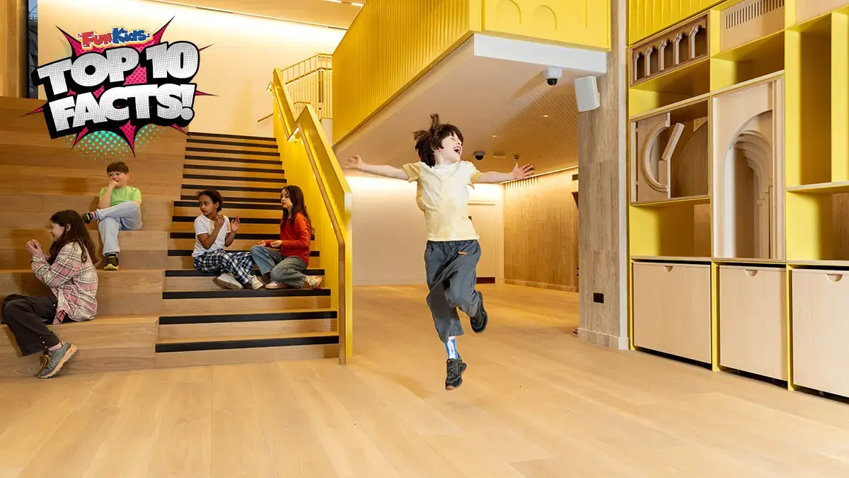 Top 10 Facts about the Roden Centre for Creative Learning at the National Gallery!