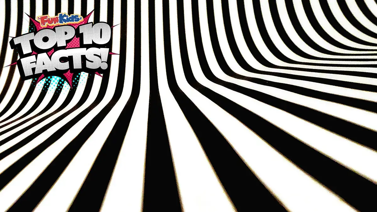 Top 10 Facts About Optical Illusions!