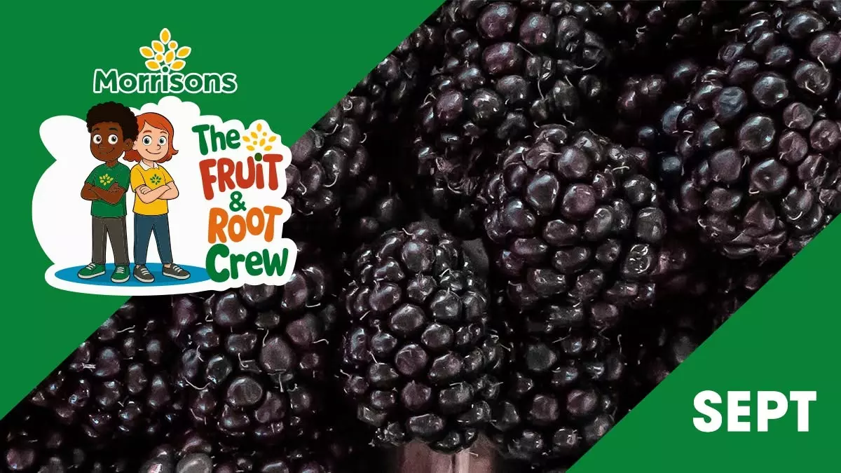 Everything you need to know about… blackberries