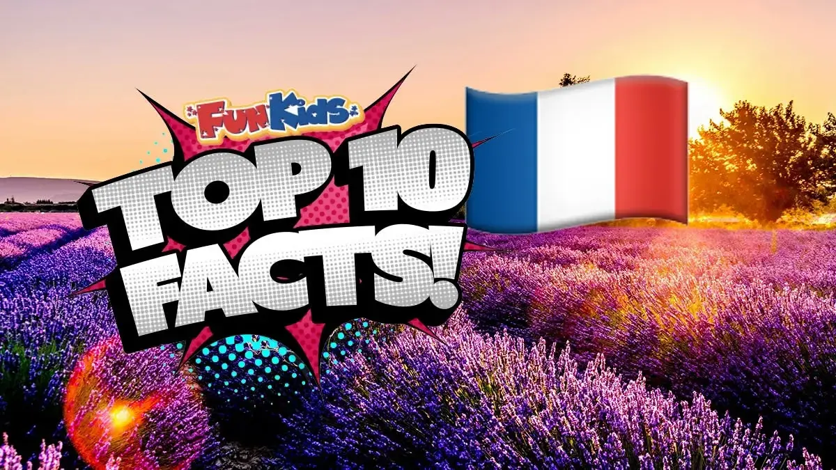 Top 10 facts about France!