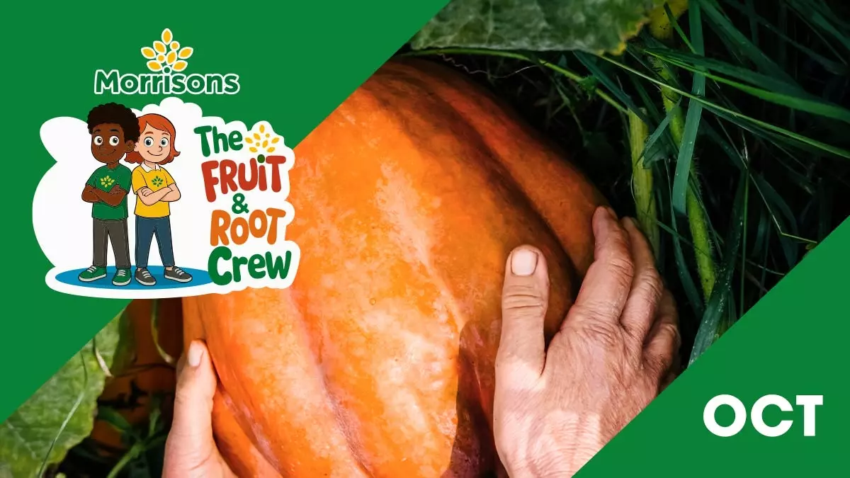 Everything you need to know about… Pumpkins