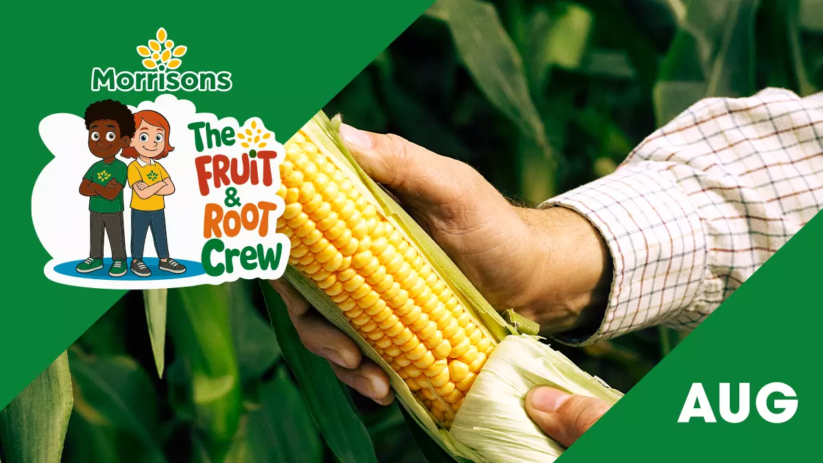 Everything you need to know about… sweetcorn!