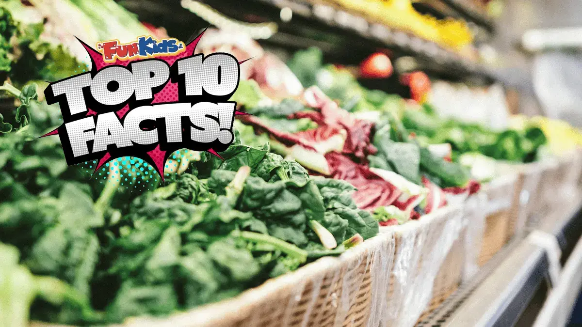 Top 10 facts about veggies!