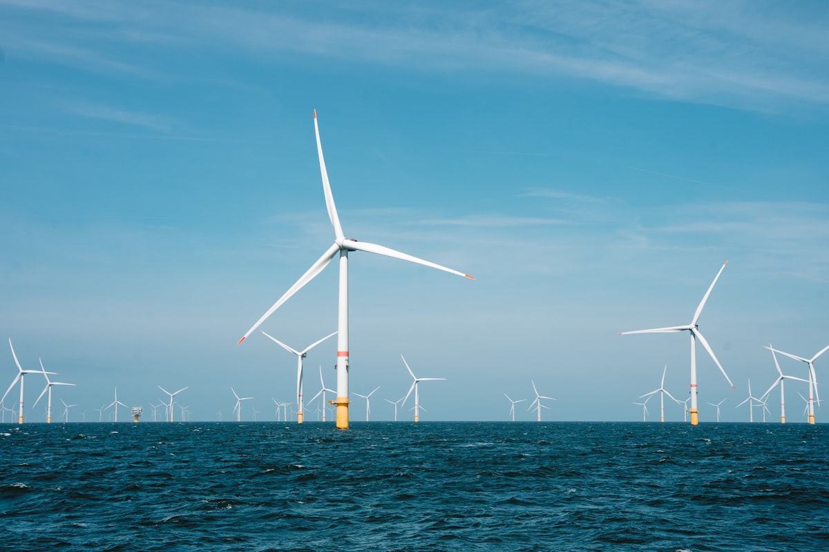 Offshore wind turbines standing in the sea